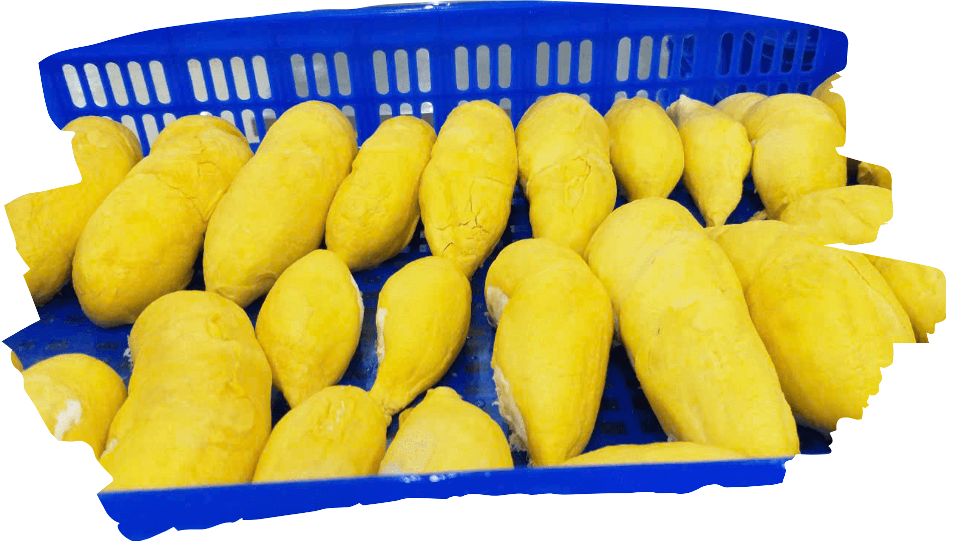 Frozen Durian Flesh
