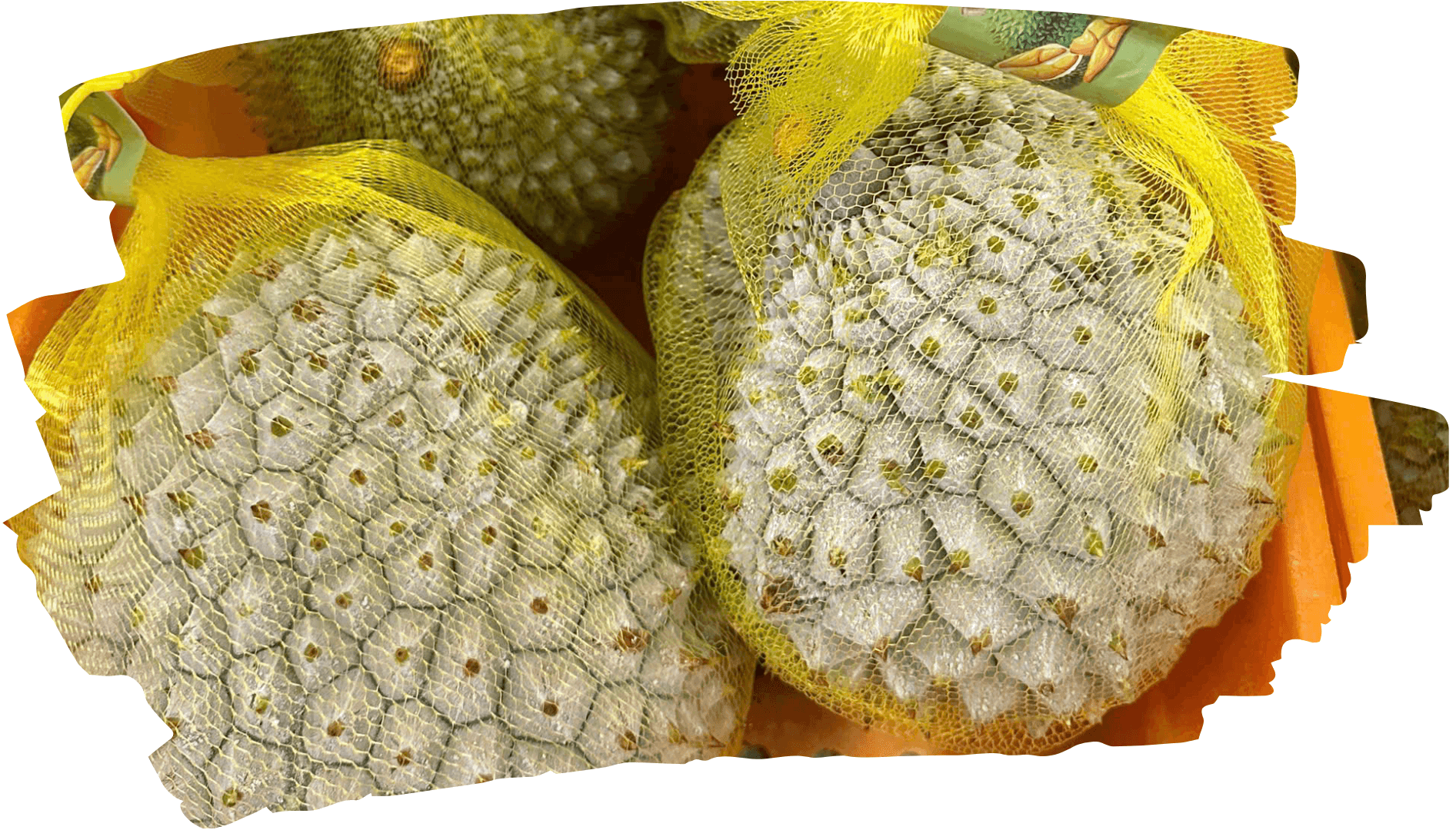 Frozen Whole Durian