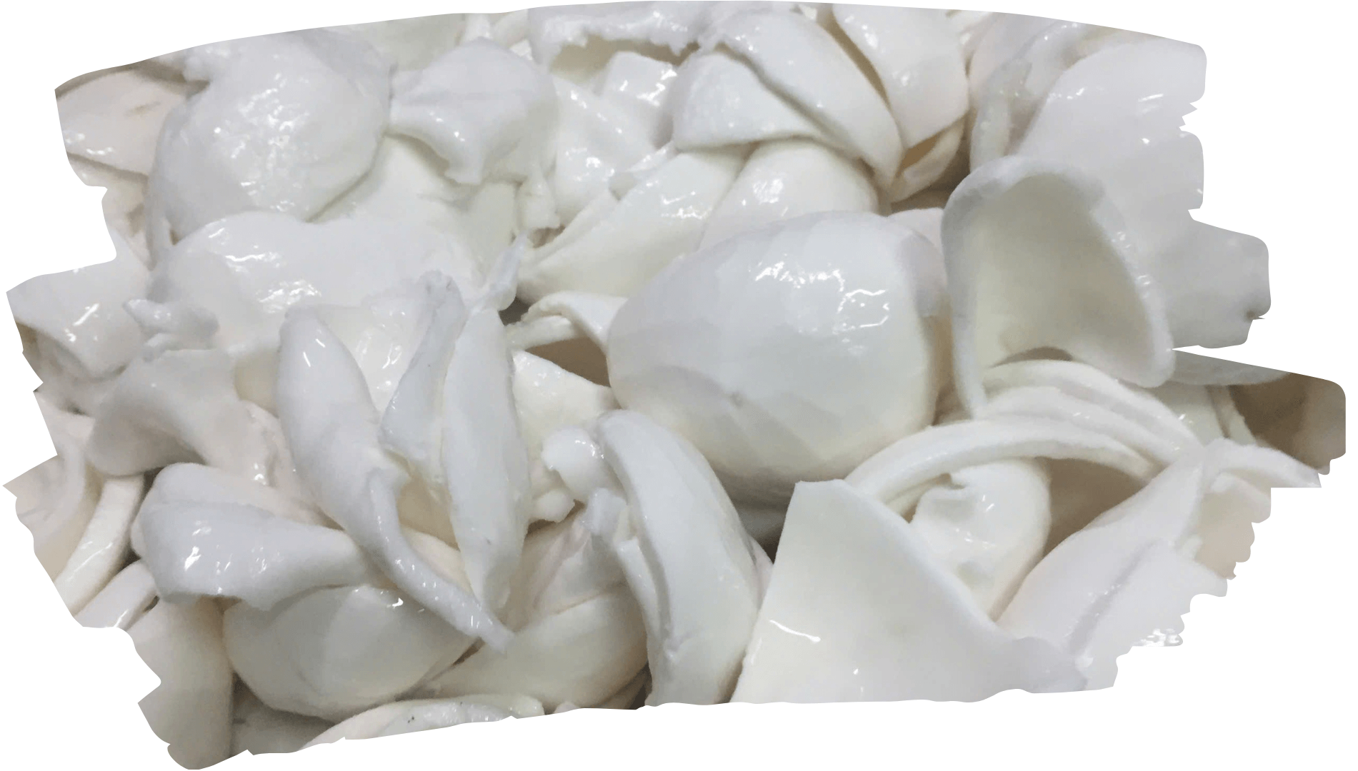 Frozen Young Coconut Meat